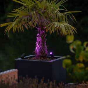 CASTOR SMART | LIGHTPRO SPOT