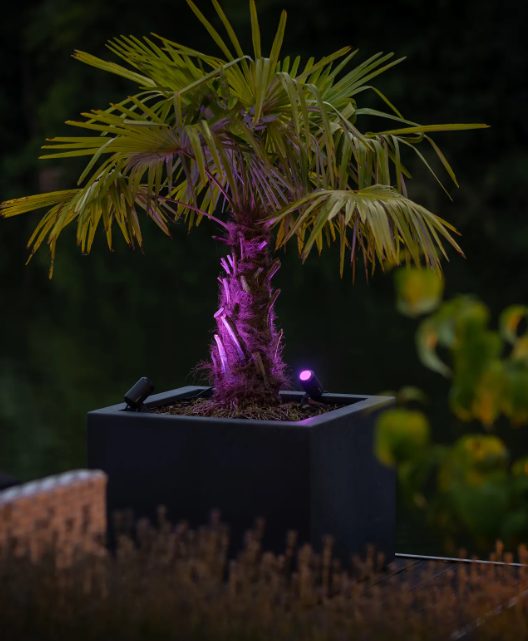 CASTOR SMART | LIGHTPRO SPOT