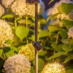 TUBE POUR JUNO | LIGHTPRO SPOT