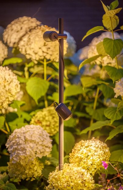 TUBE POUR JUNO | LIGHTPRO SPOT