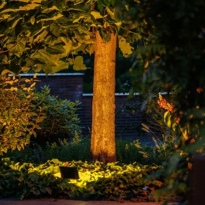 AVIOR | LIGHTPRO SPOT