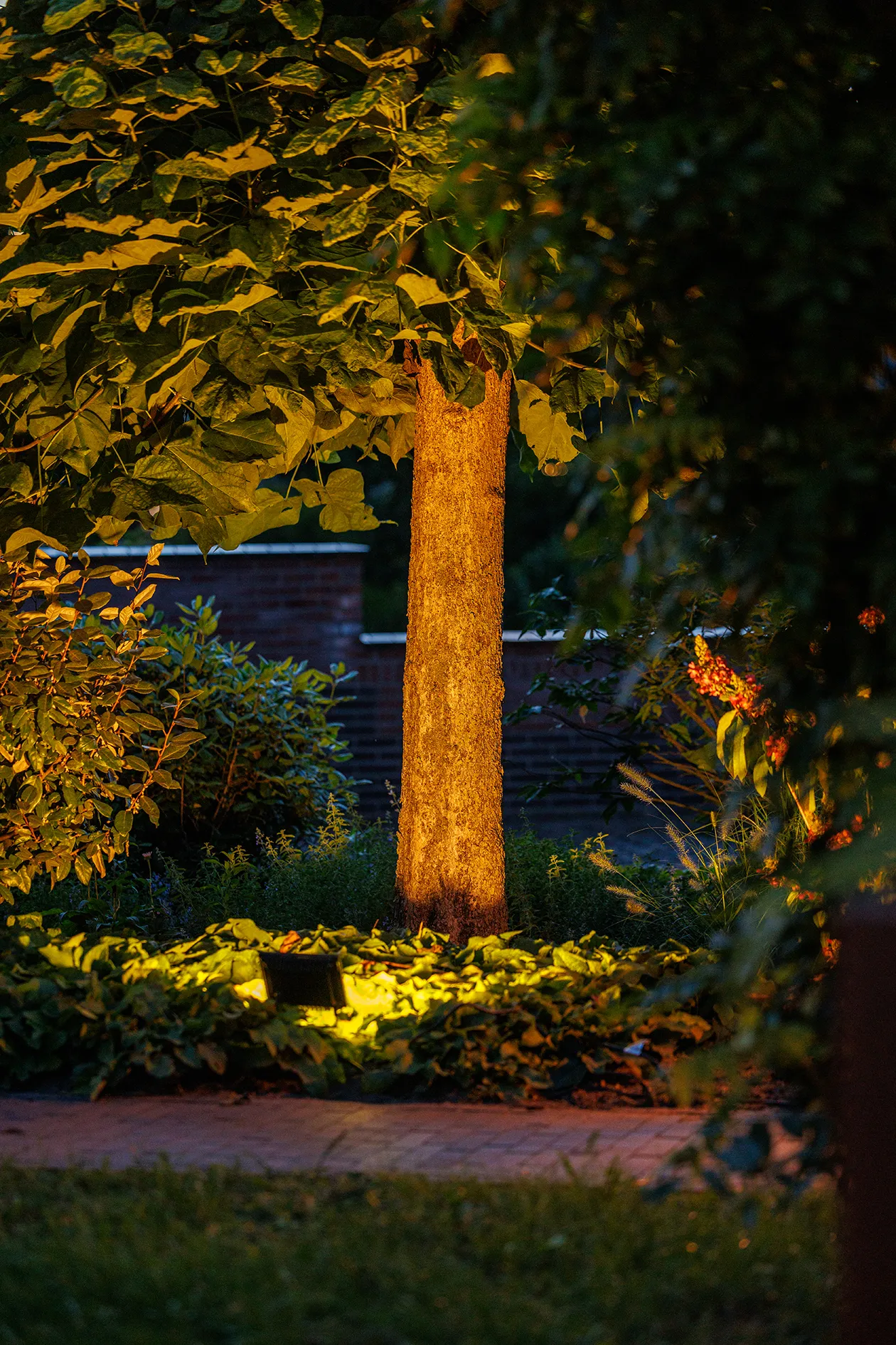 AVIOR | LIGHTPRO SPOT