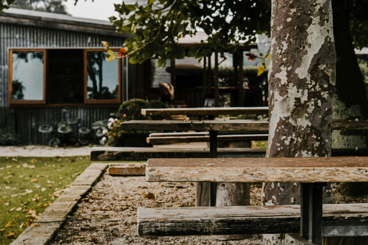 Faire une table avec un tronc d'arbre